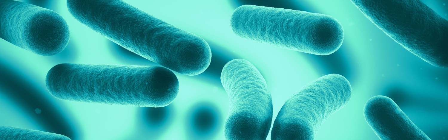 8th International Conference of the European College of Veterinary Microbiology
